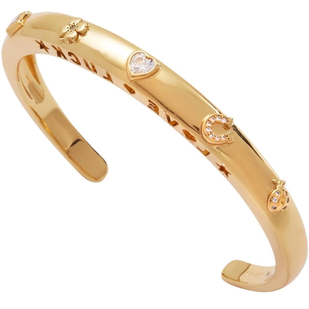 Gold Charm Bangle Bracelet Alex Lucky horseshoe clover ladybug lock heart Gift